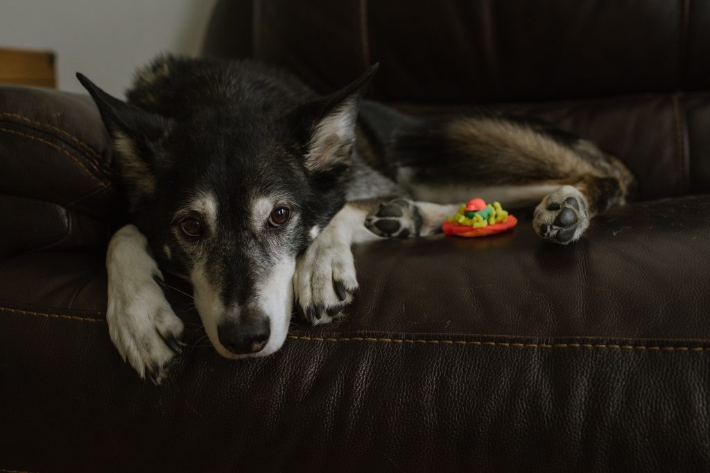 documentary family photographer glasgow RNP