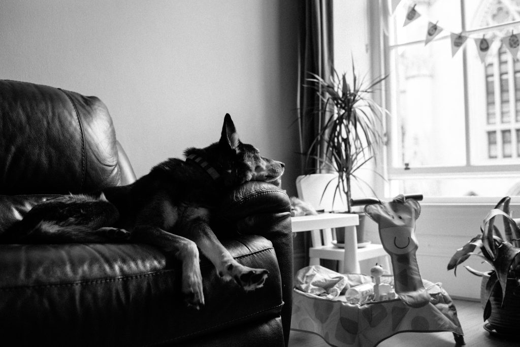 documentary family photographer glasgow RNP