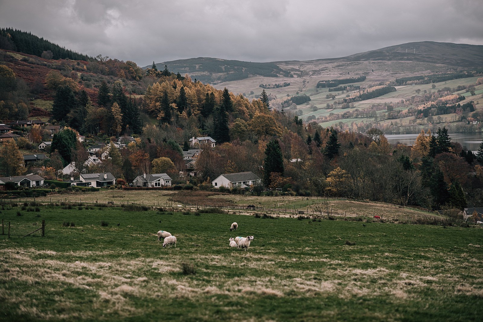 landscape scenery wit hills and sheep from boreland loch tay wedding venue in Scotland