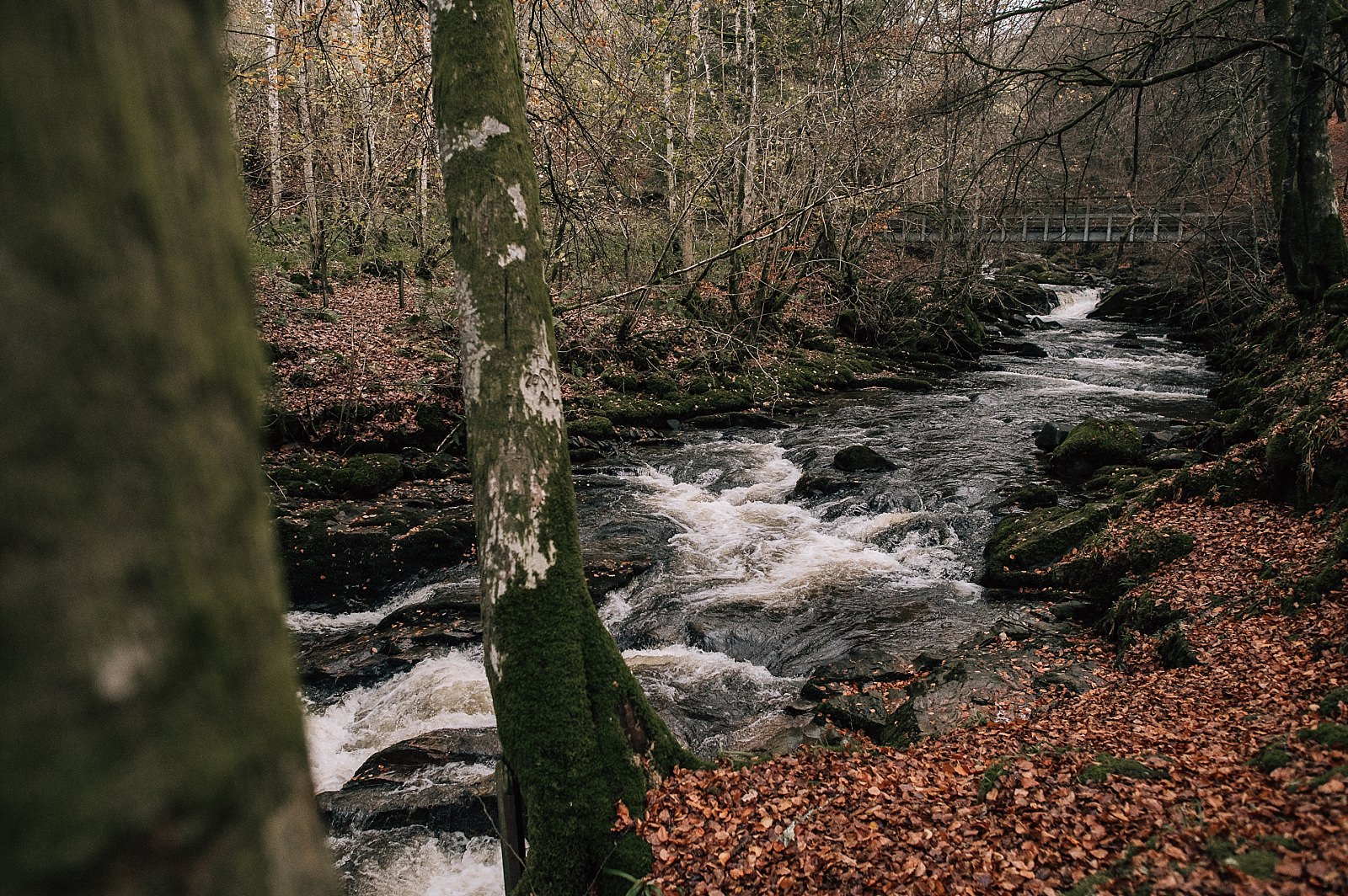 river running through woodlands with bridge over at boreland loch tay wedding venue in aberfeldy perthshire scotland
