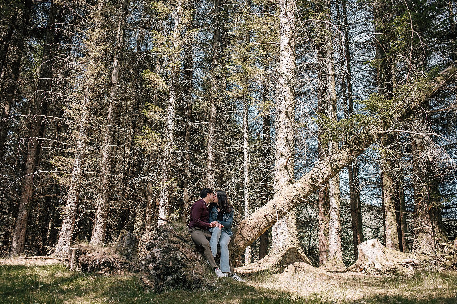 couple kissing sitting on fallen tree in glencoe for surprise engagement photo shoot scotland